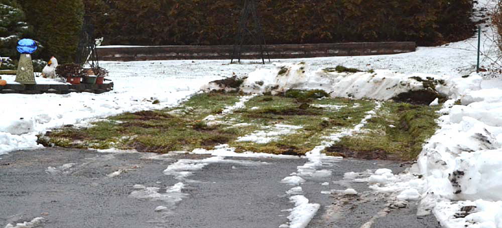 Torn-up lawn and sod along a driveway edge caused by a snow plow